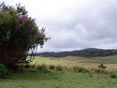 Bandarawela,_World`s_End,_DSC07043B_H600